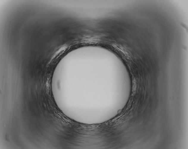 X0000097301254200802151114