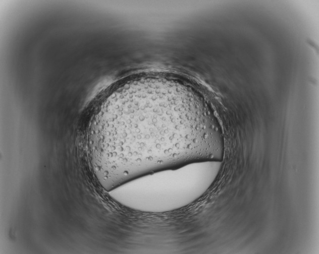 X0000097301255200802151114