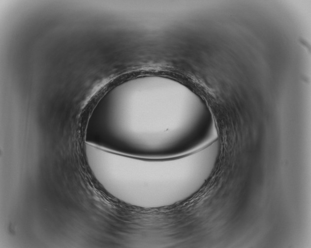X0000097301256200802151114