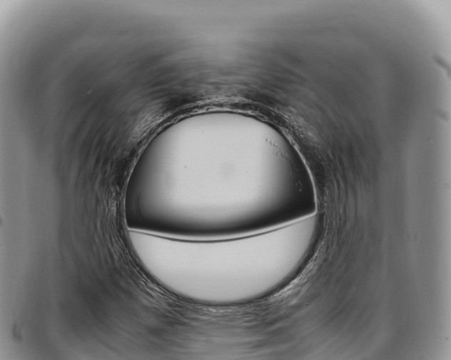 X0000097301257200802151114