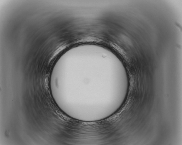 X0000097301258200802151114