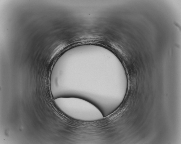X0000097301259200802151114