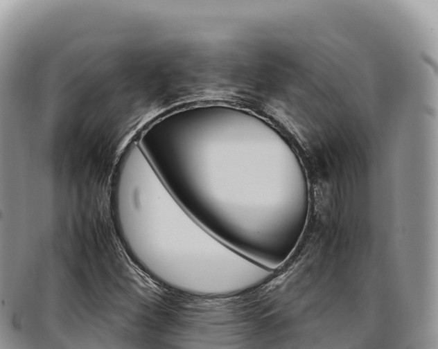 X0000097301260200802151114
