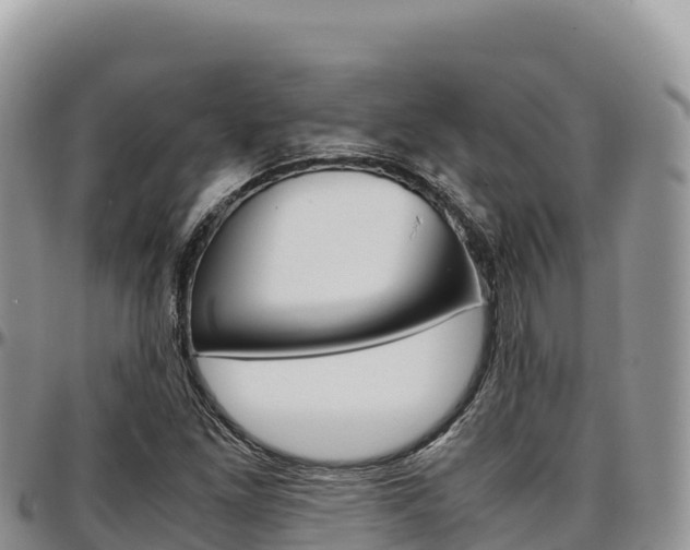 X0000097301261200802151114