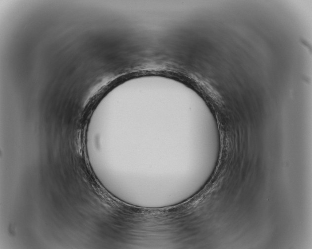 X0000097301262200802151114