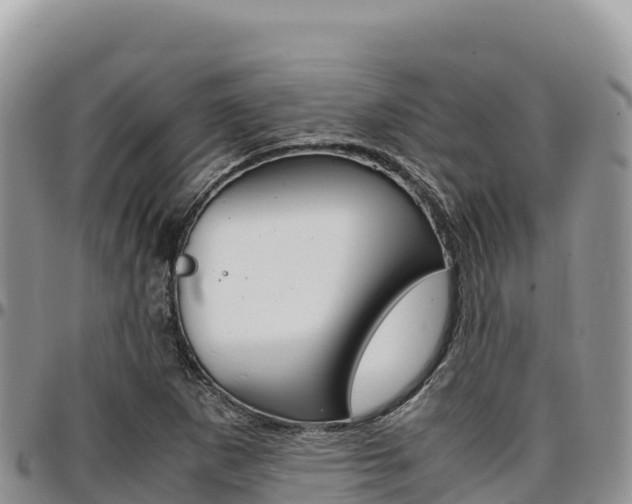 X0000097301265200802151114