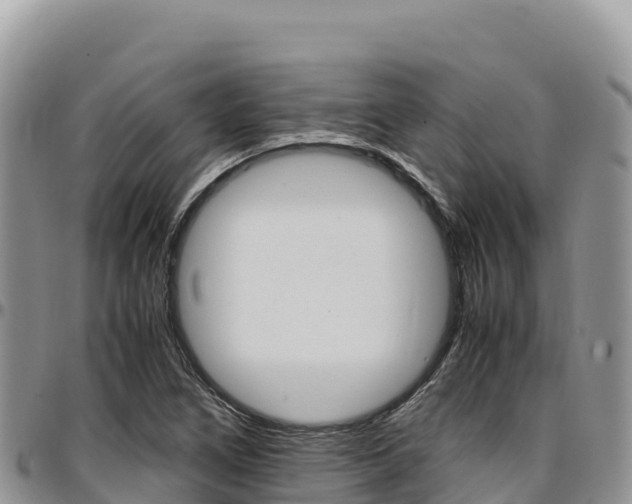 X0000097301266200802151114