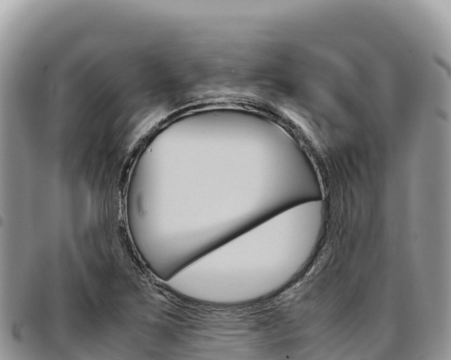 X0000097301267200802151114