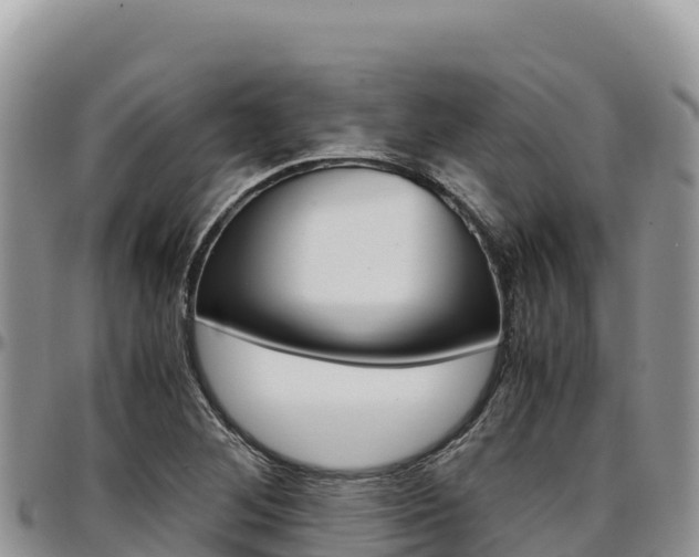 X0000097301268200802151114