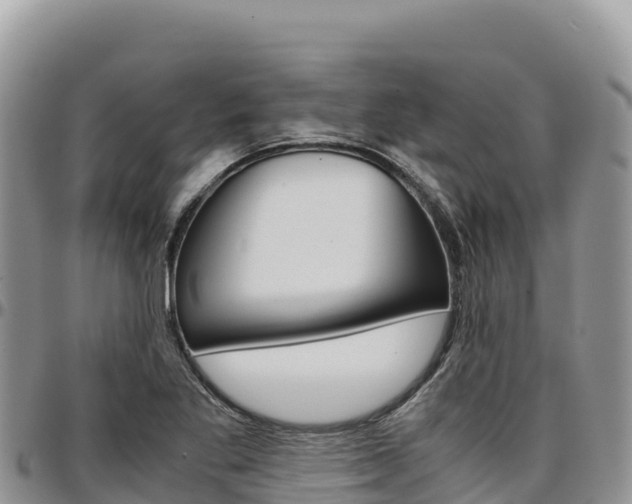 X0000097301269200802151114