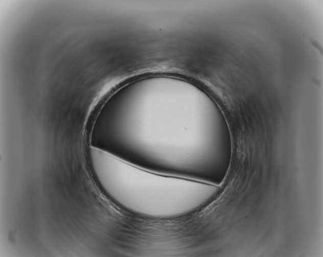 X0000097301270200802151114