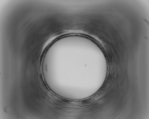 X0000097301271200802151114