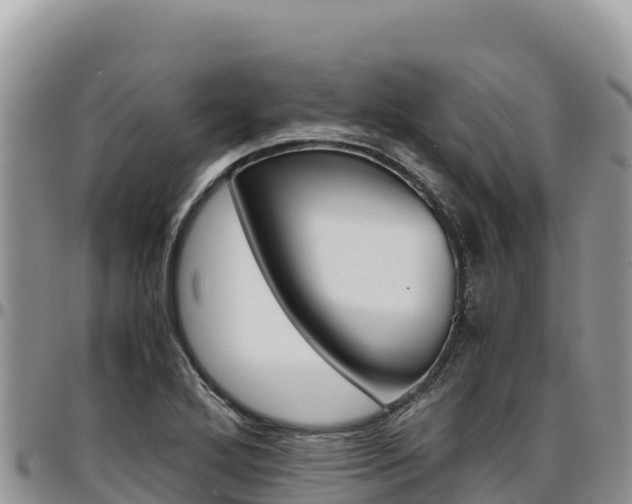 X0000097301272200802151114