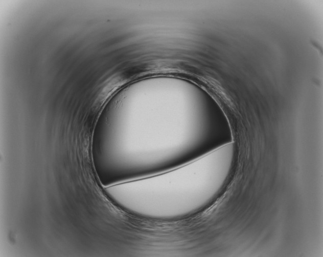 X0000097301273200802151114