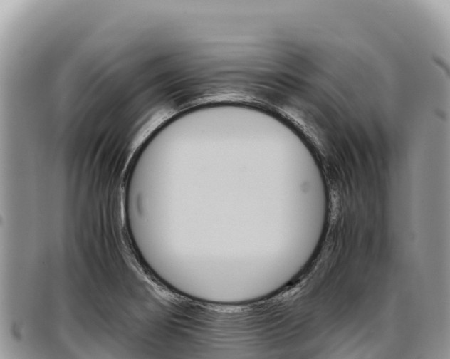 X0000097301274200802151114