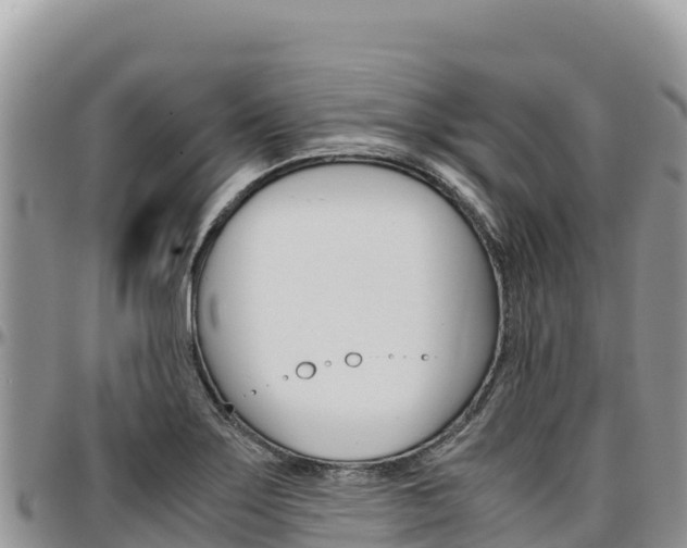 X0000097301275200802151113
