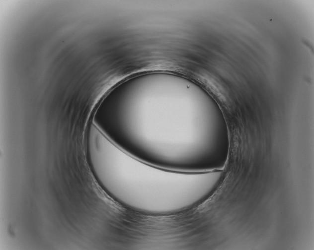 X0000097301276200802151113