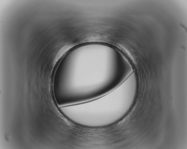 X0000097301277200802151113