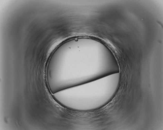 X0000097301279200802151113