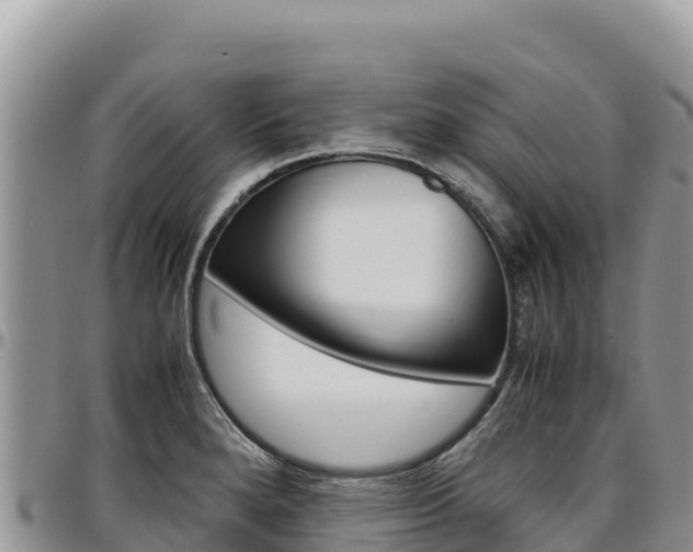 X0000097301280200802151113