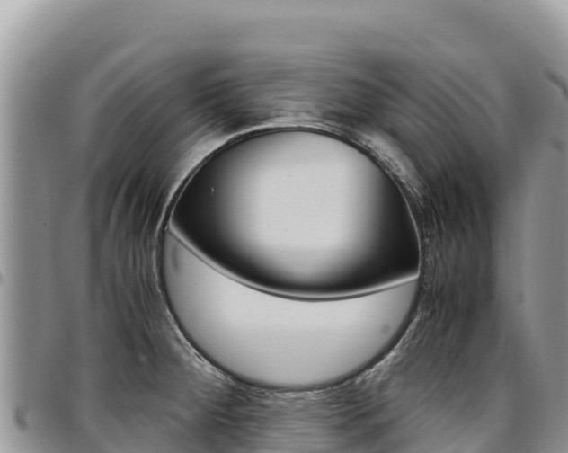 X0000097301284200802151113