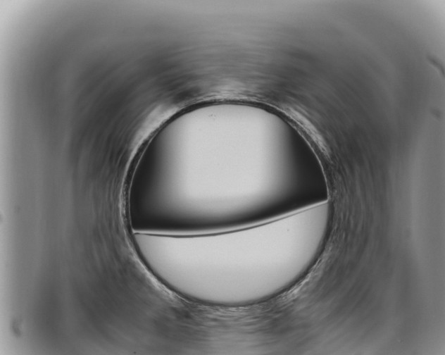 X0000097301285200802151113