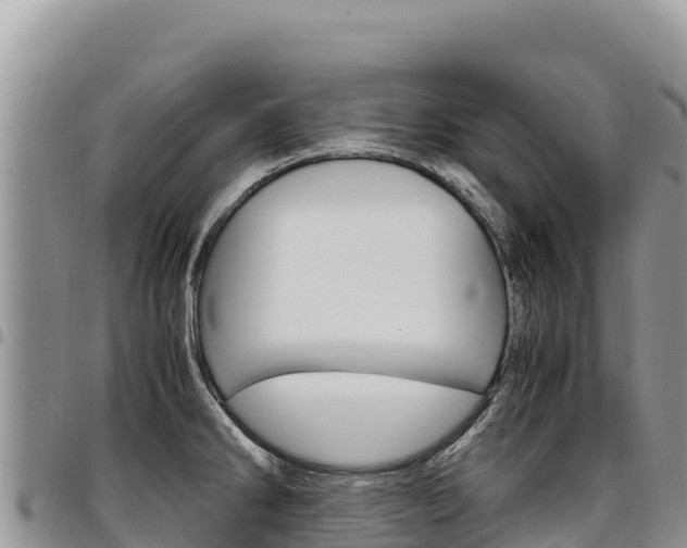 X0000097301286200802151113