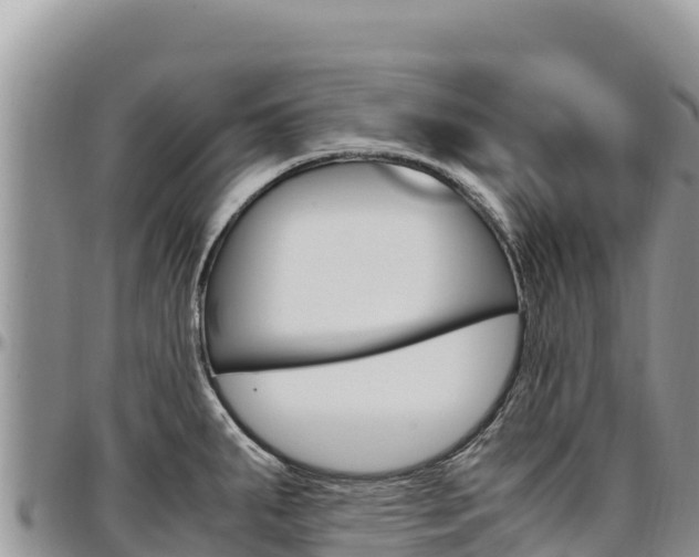 X0000097301287200802151113