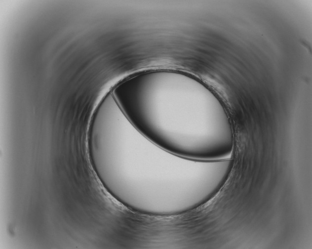 X0000097301288200802151113