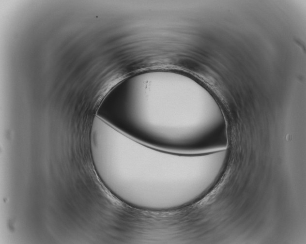 X0000097301289200802151113