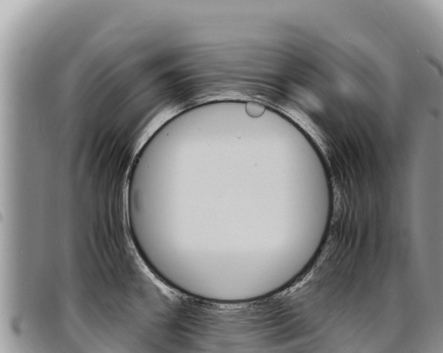 X0000097301290200802151113