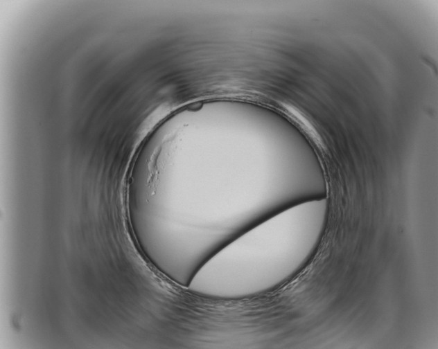 X0000097301291200802151113