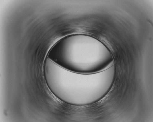 X0000097301292200802151113