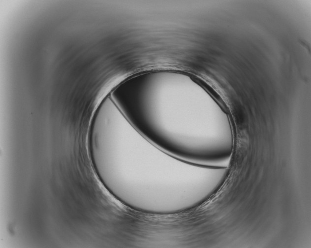 X0000097301293200802151113