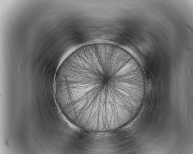 X0000097301294200802151113
