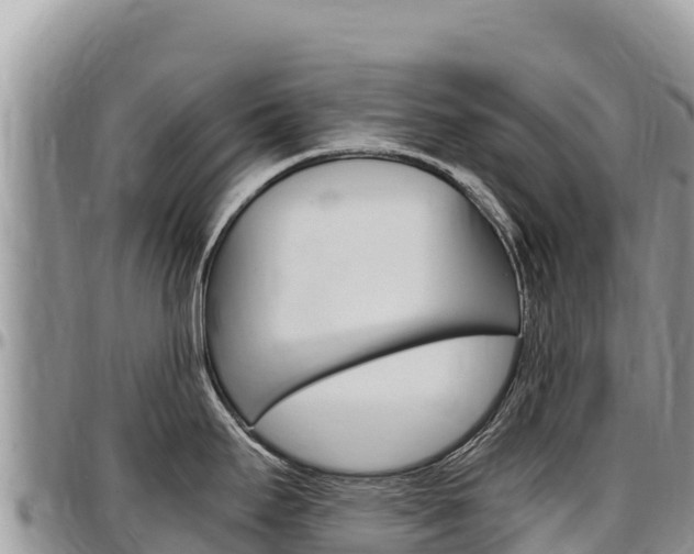 X0000097301295200802151113