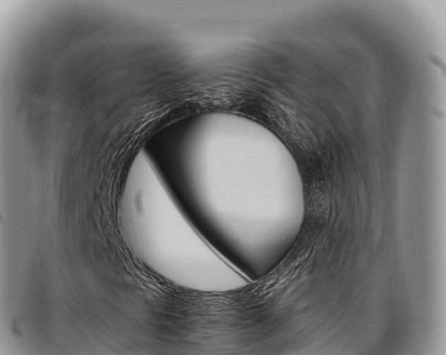 X0000097301297200802151113