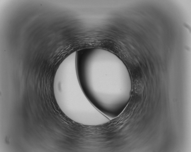 X0000097301298200802151113