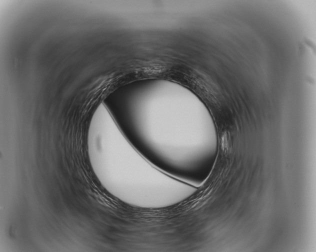 X0000097301299200802151113