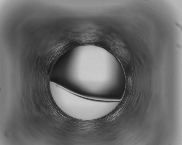 X0000097301300200802151113