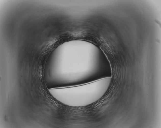 X0000097301301200802151113