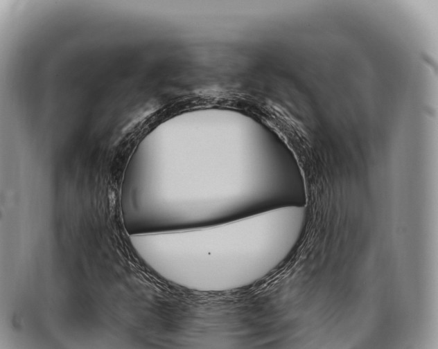 X0000097301302200802151113