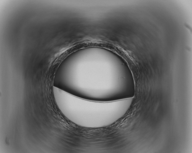 X0000097301303200802151113