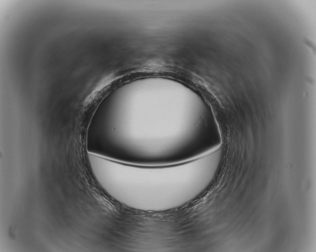 X0000097301304200802151113