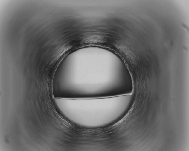 X0000097301305200802151113