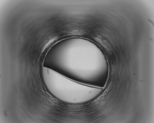 X0000097301307200802151113