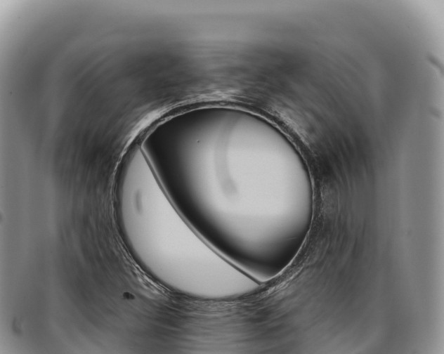 X0000097301308200802151113