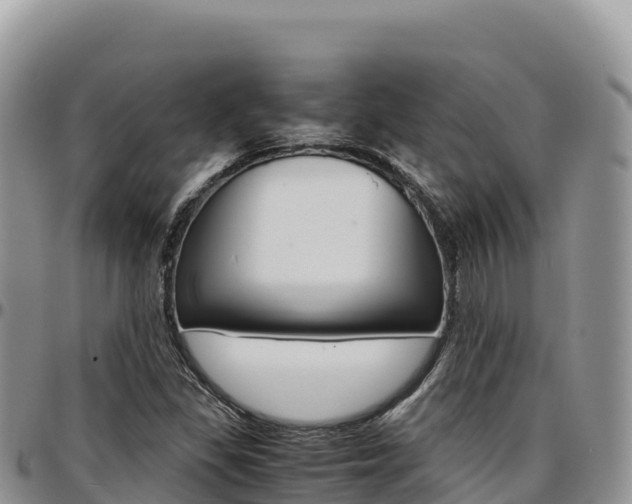 X0000097301309200802151113