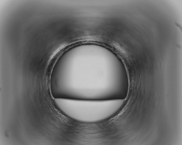 X0000097301310200802151113