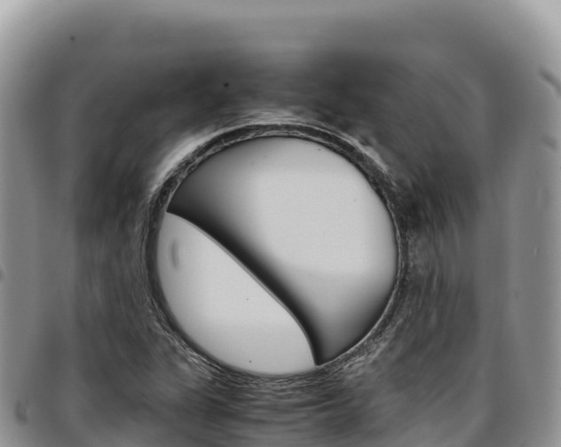 X0000097301311200802151113